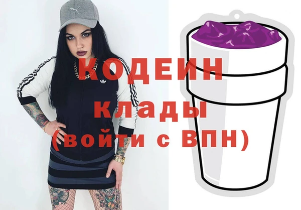 гашик Арсеньев