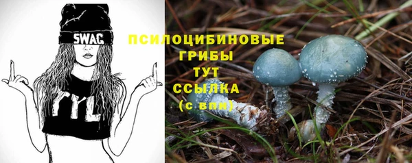 соль ск Кулебаки