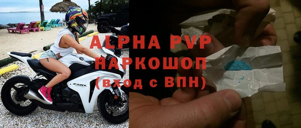 гашик Арсеньев
