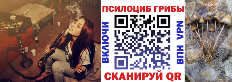 Псилоцибиновые грибы прущие грибы  kraken зеркало  Петухово 