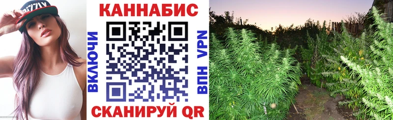 купить наркотик  Петухово  кракен онион  Шишки марихуана Bruce Banner 